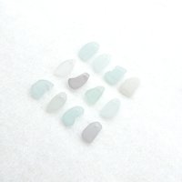 natural tropical beach beads